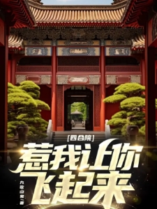 四合院：惹我让你飞起来！