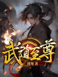 武道至尊