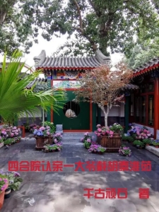 四合院认亲一大爷截胡秦淮茹