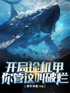 开局捡机甲，你管这叫破烂？