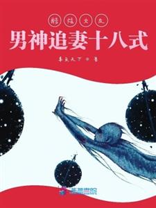 酷炫女友：男神追妻十八式