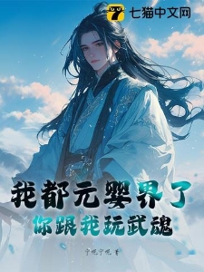 我都元婴界了，你跟我玩武魂？