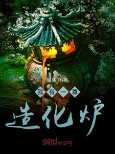 我有一尊造化炉