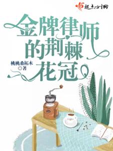 金牌律师的荆棘花冠