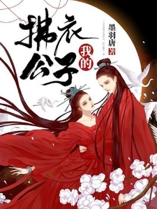 我的拂衣公子
